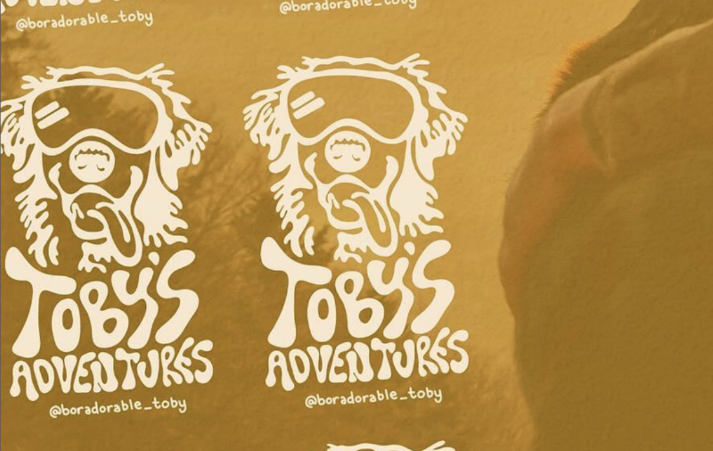 Toby's adventures logo with dog sitting in background and human arm around him.