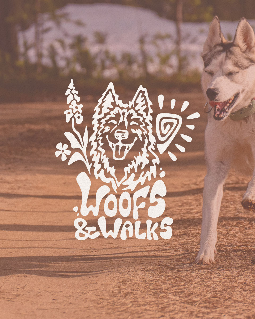 WOOFS & WALKS